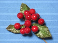 Red Berries